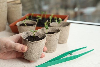 Photo of Woman holding pot with seedling at white wooden table, closeup