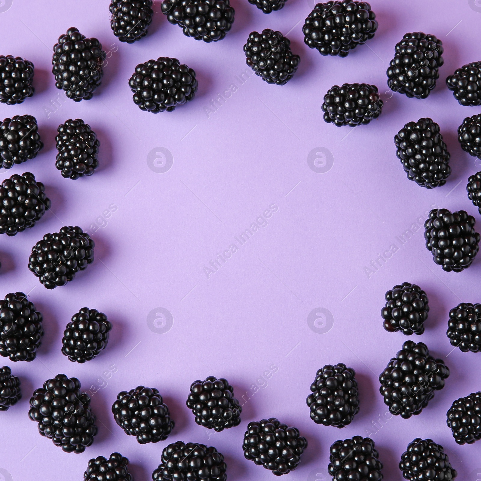 Photo of Frame made of tasty blackberries on purple background, top view with space for text