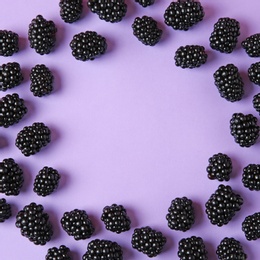 Frame made of tasty blackberries on purple background, top view with space for text