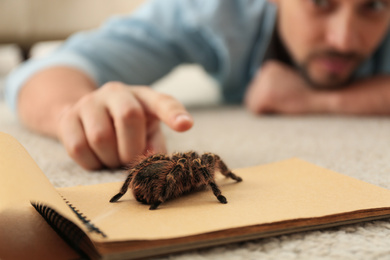 Photo of Man and tarantula on carpet, closeup. Arachnophobia (fear of spiders)