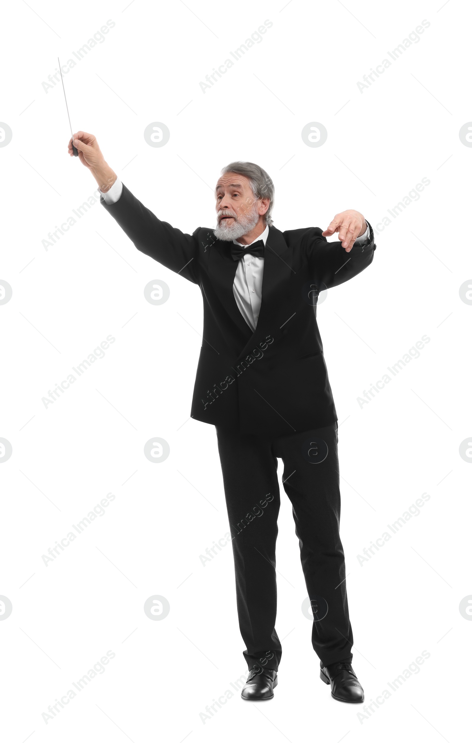 Photo of Professional conductor with baton on white background