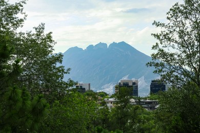 Picturesque view of green trees and mountains