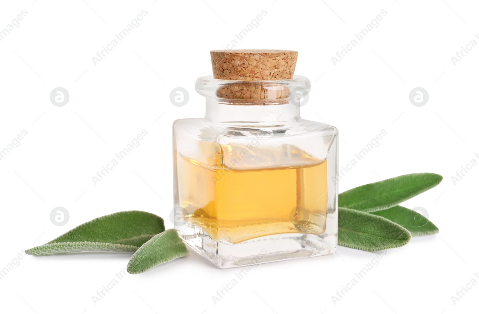 Photo of Bottle of essential sage oil and leaves on white background.