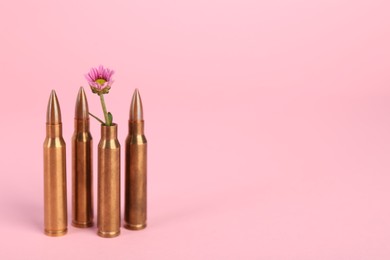 Photo of Bullets and beautiful chrysanthemum flower on pink background, space for text