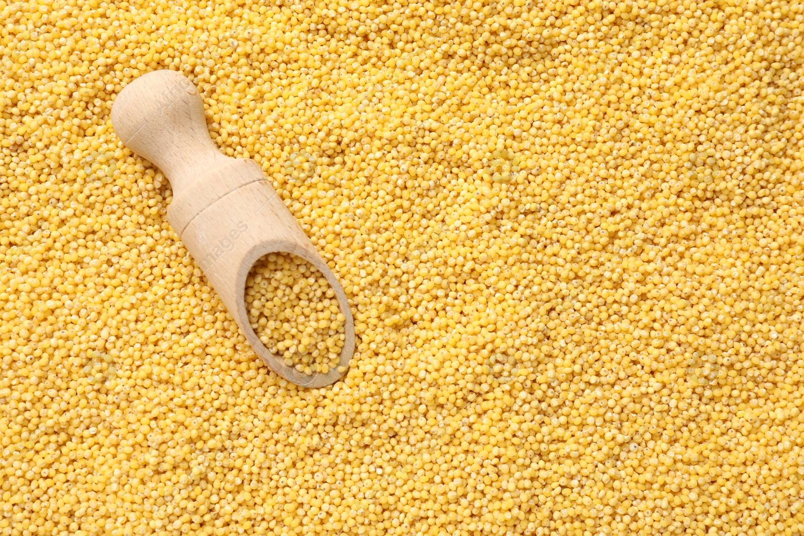 Photo of Wooden scoop with dry millet seeds, top view. Space for text