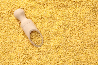 Photo of Wooden scoop with dry millet seeds, top view. Space for text
