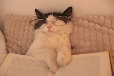 Photo of Cute cat with glasses and book sleeping on bed at home, closeup