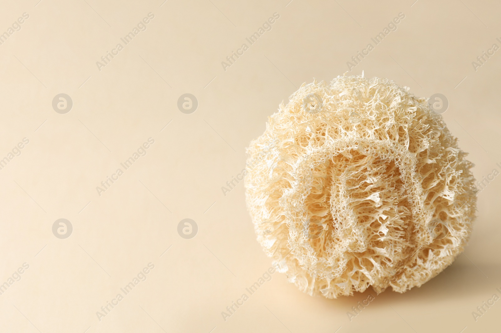Photo of Natural shower loofah sponge on beige background. Space for text