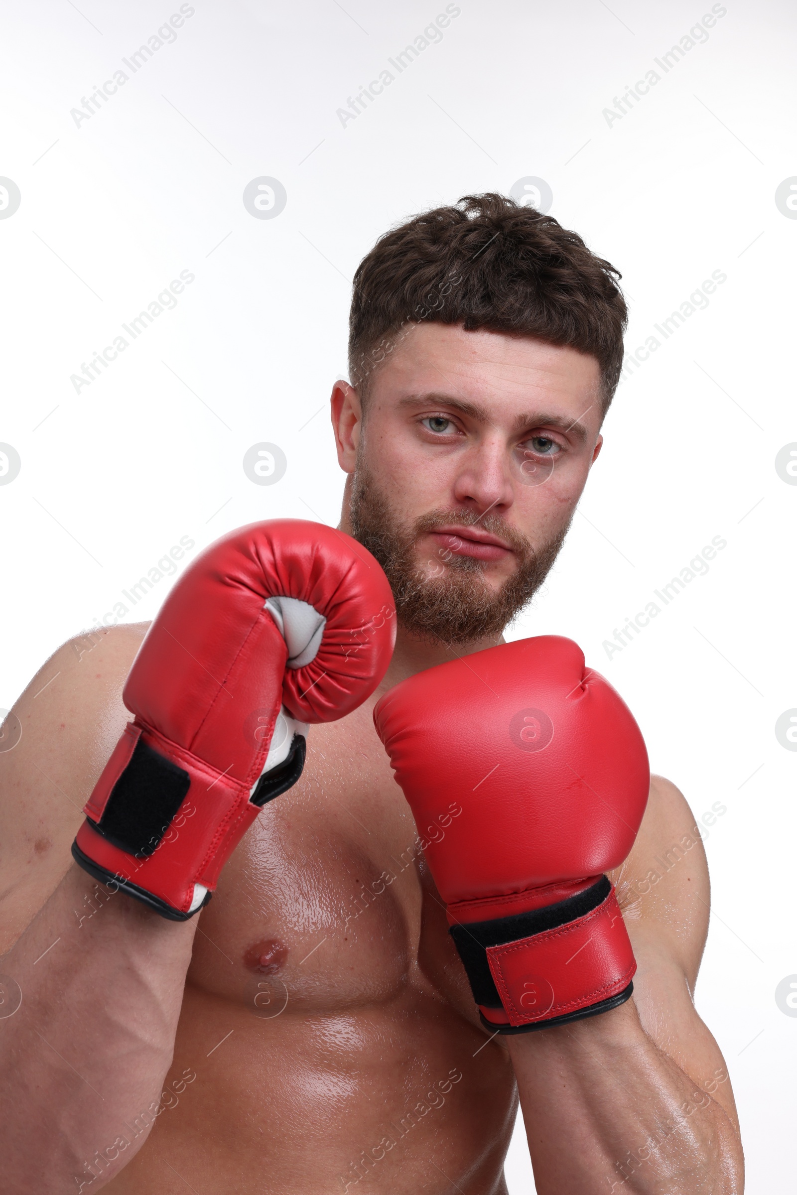 Photo of Man in boxing gloves fighting on white background