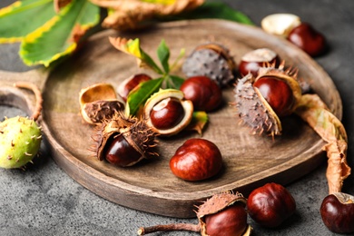 Photo of Horse chestnuts on grey table, closeup view