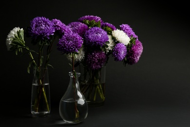 Photo of Beautiful asters in vases on black background. Autumn flowers