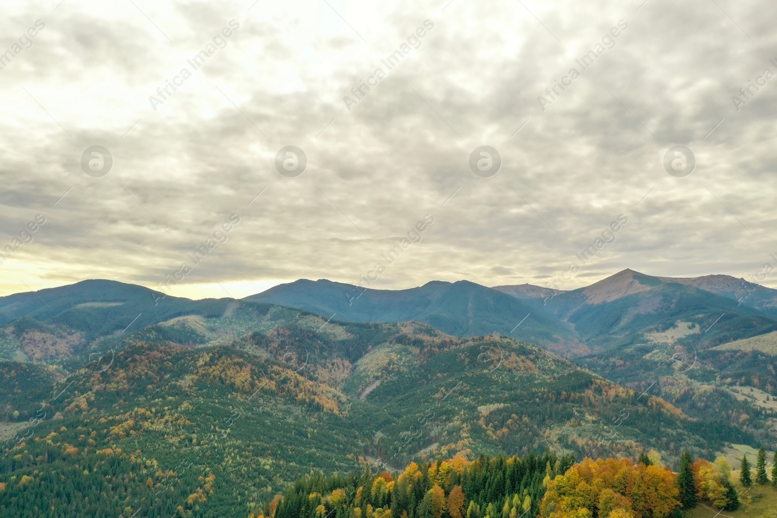 Photo of Aerial view of beautiful mountain forest on autumn day