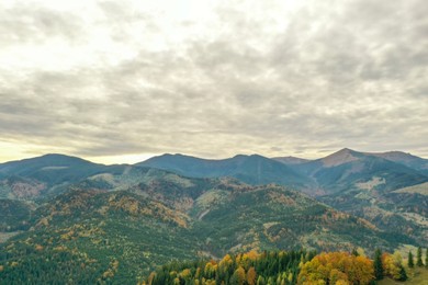 Aerial view of beautiful mountain forest on autumn day