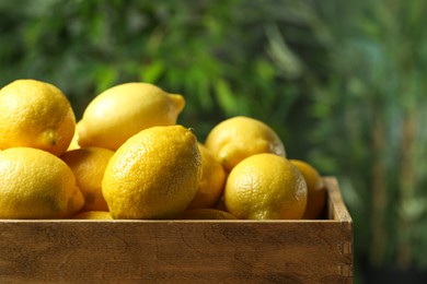 Photo of Fresh lemons in wooden crate against blurred background, closeup. Space for text