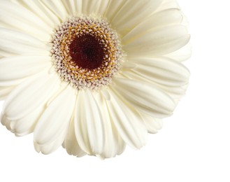 Photo of Beautiful gerbera flower on white background, closeup