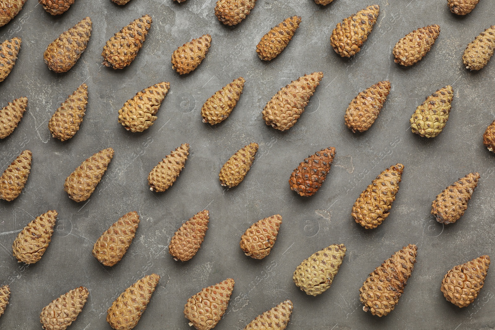 Photo of Flat lay composition with pinecones on grey background