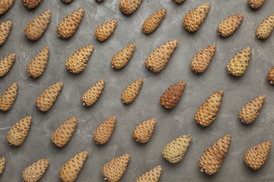 Flat lay composition with pinecones on grey background