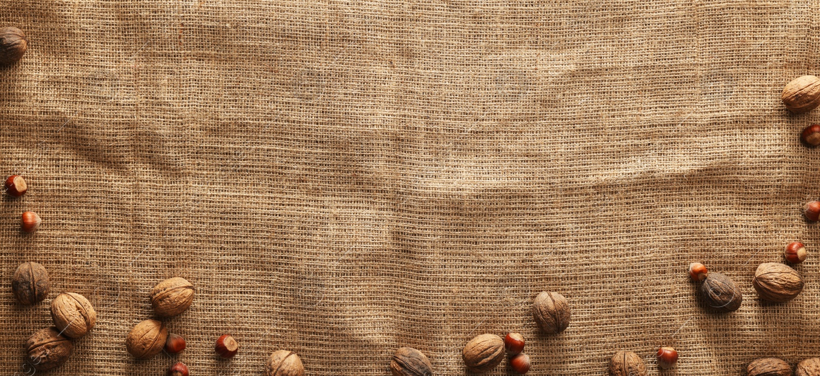 Photo of Many walnuts on burlap fabric, top view. Space for text