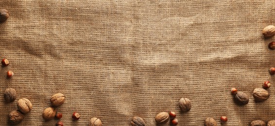 Photo of Many walnuts on burlap fabric, top view. Space for text