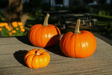 Many whole ripe pumpkins on wooden table outdoors