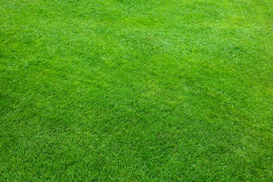 Photo of Beautiful freshly cut green lawn as background