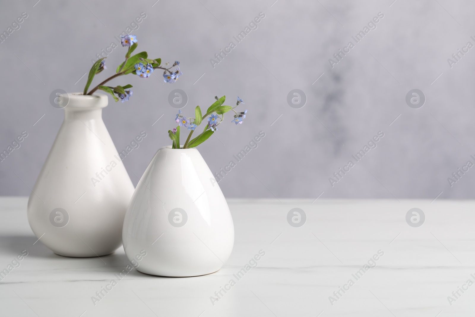 Photo of Beautiful forget-me-not flowers in vases on white marble table, closeup. Space for text