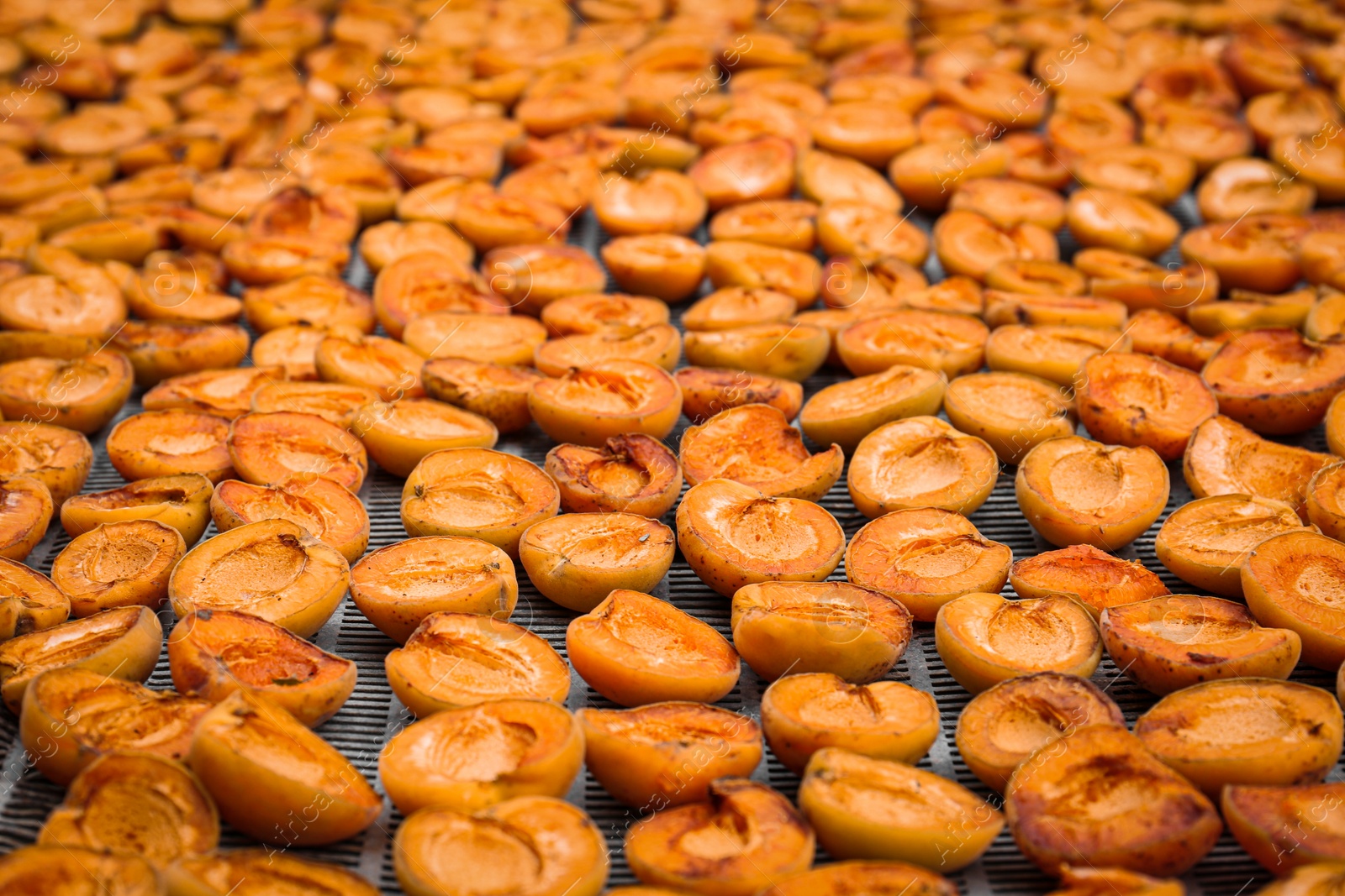 Photo of Many halved apricots on metal drying rack