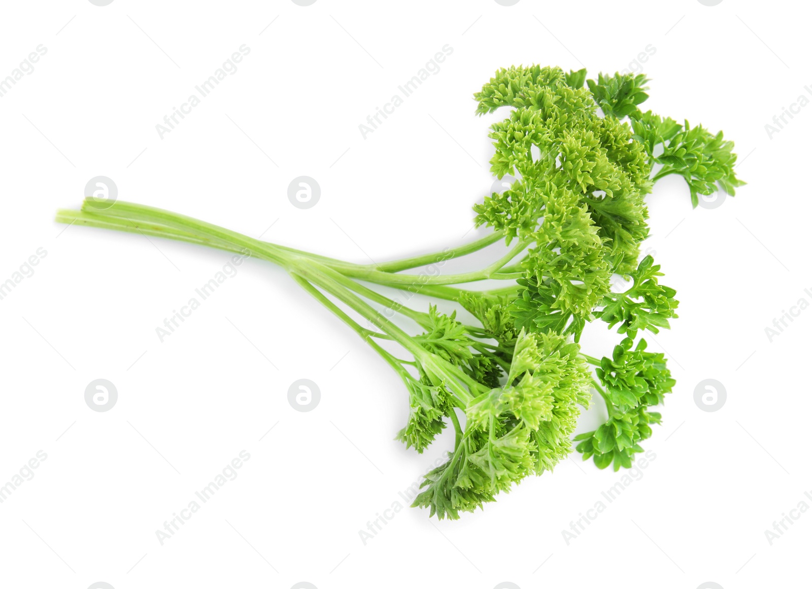 Photo of Fresh green organic parsley on white background