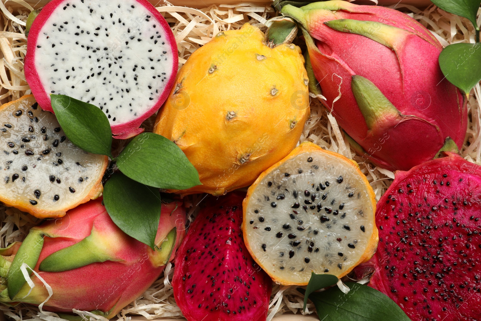 Photo of Delicious cut and whole dragon fruits as background, top view