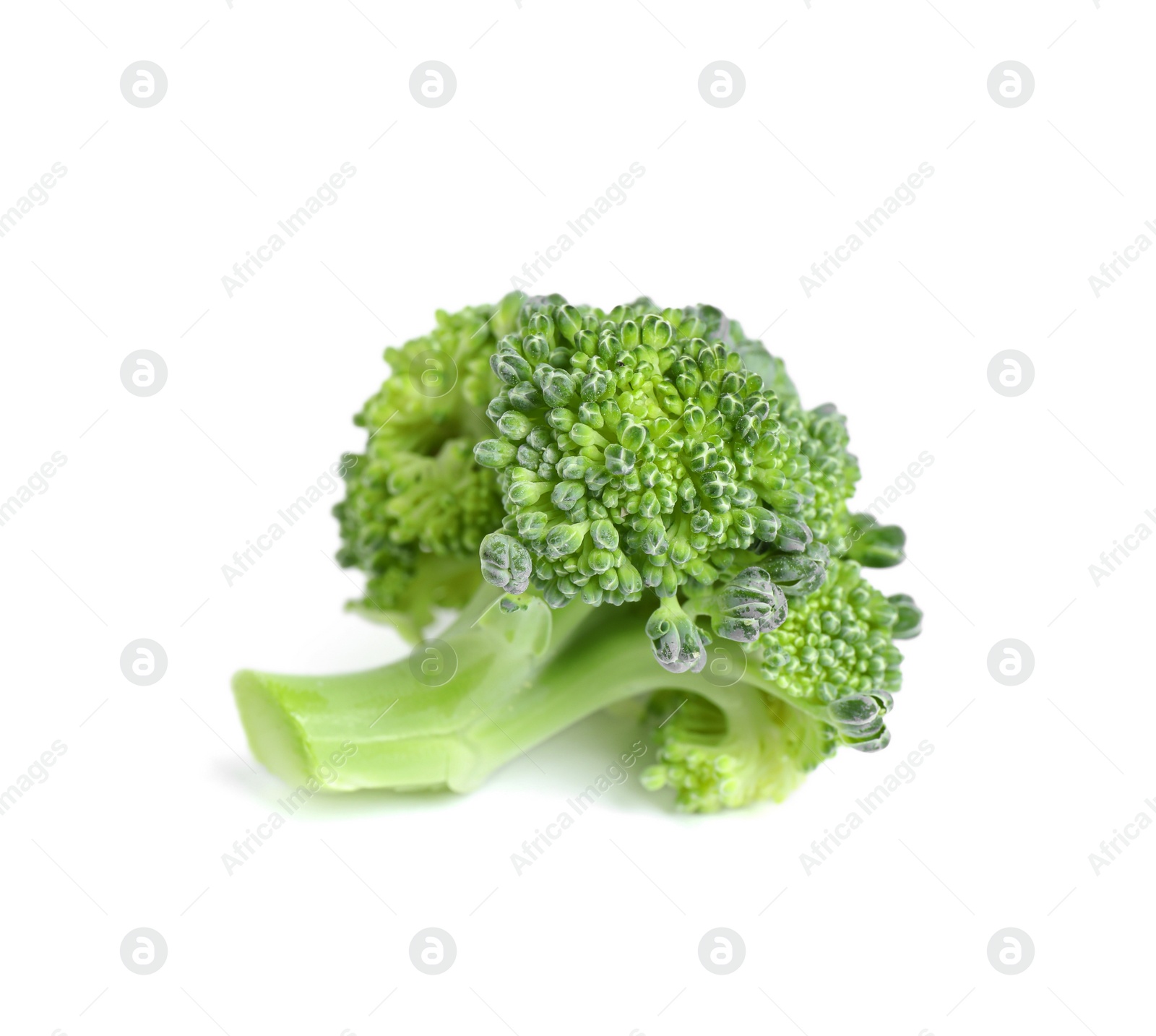 Photo of Fresh green raw broccoli on white background