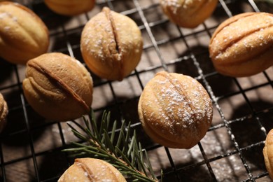 Delicious nut shaped cookies with powdered sugar on baking grid, closeup