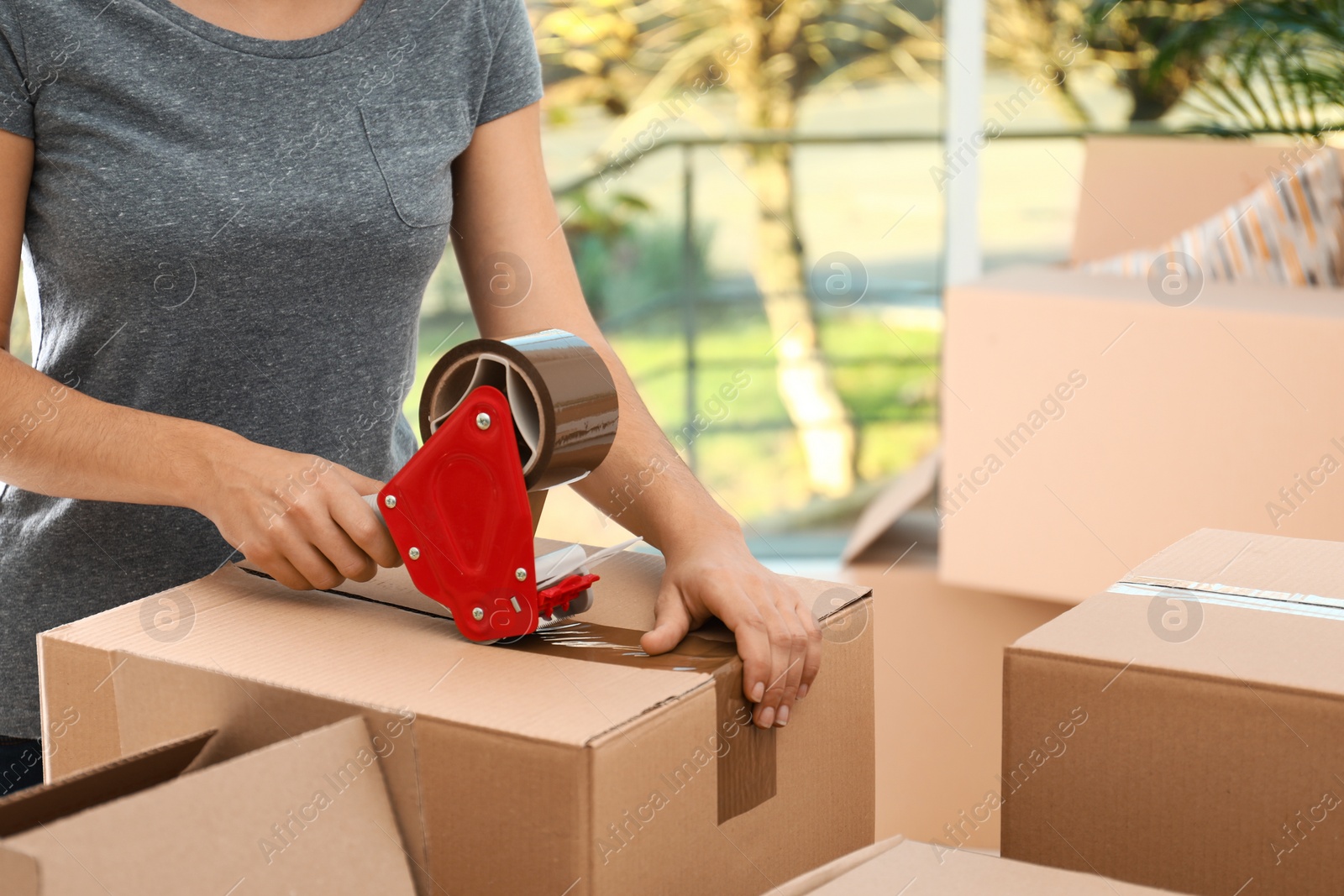 Photo of Woman packing box indoors, closeup. Moving day