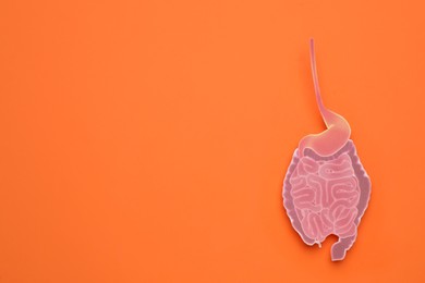 Photo of Paper cutout of small intestine on orange background, top view. Space for text