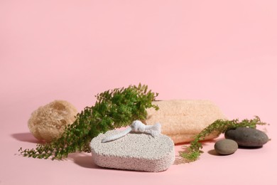 Photo of Pumice stone, loofah and green leaves on pink background