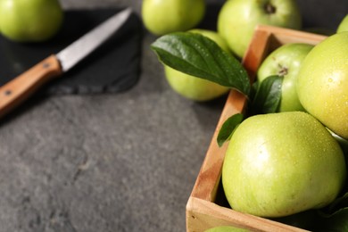 Photo of Ripe green apples with water drops in crate on grey table, closeup