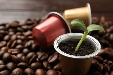 Photo of Coffee capsules, seedling and beans on table, closeup. Space for text
