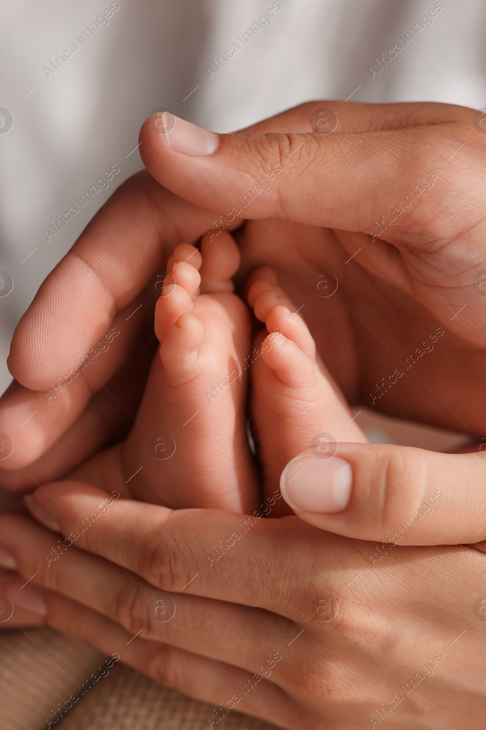 Photo of Mother and father with their newborn baby, closeup view on feet. Lovely family