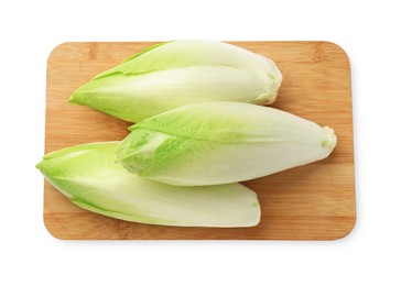 Photo of Raw ripe chicories on white background, top view