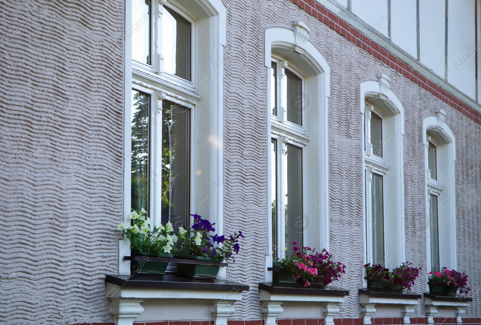 Photo of Windows of beautiful white building decorated with blooming potted plants