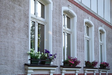 Photo of Windows of beautiful white building decorated with blooming potted plants