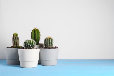 Many beautiful cacti on light blue wooden table, space for text