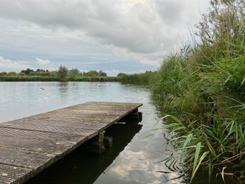 Photo of Picturesque view of river reeds and cloudy sky