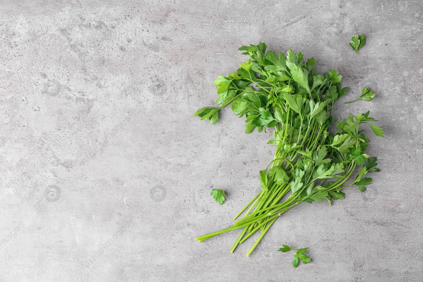 Photo of Fresh green parsley and space for text on grey background, top view