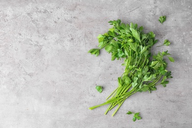 Photo of Fresh green parsley and space for text on grey background, top view