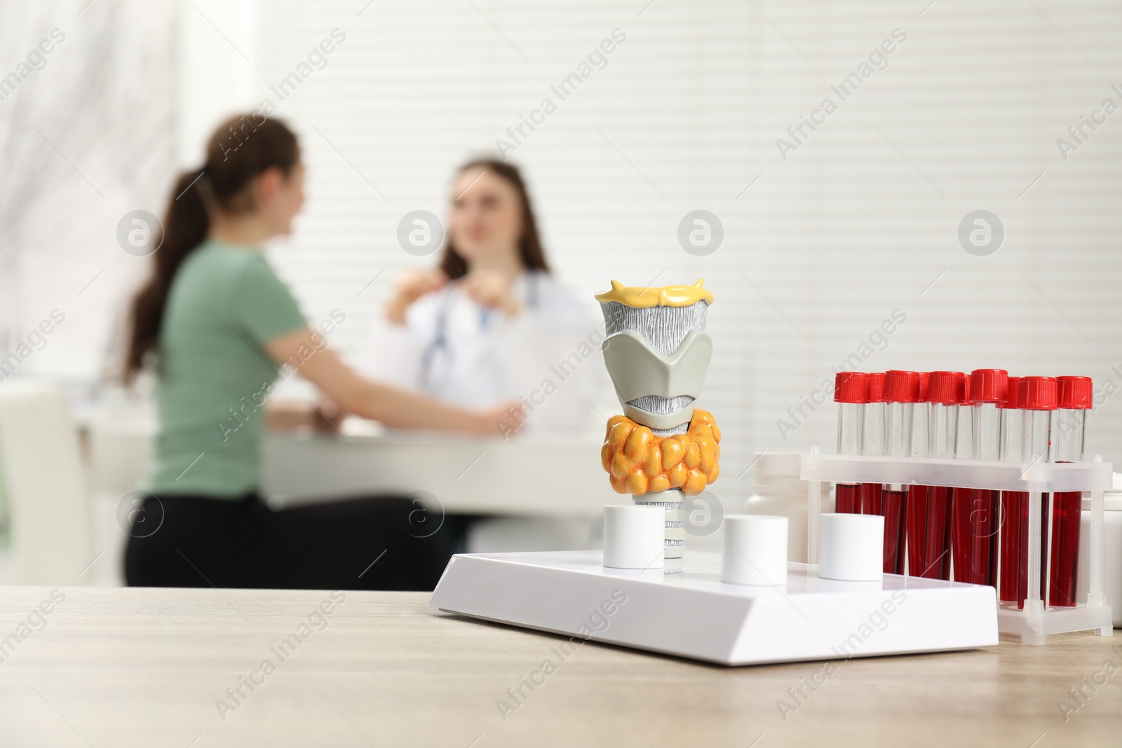 Photo of Endocrinologist examining patient at clinic, focus on model of thyroid gland and blood samples in test tubes