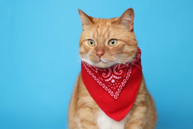 Photo of Cute ginger cat with bandana on light blue background, space for text. Adorable pet