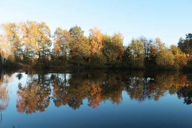 Photo of Picturesque view of lake and trees on autumn day