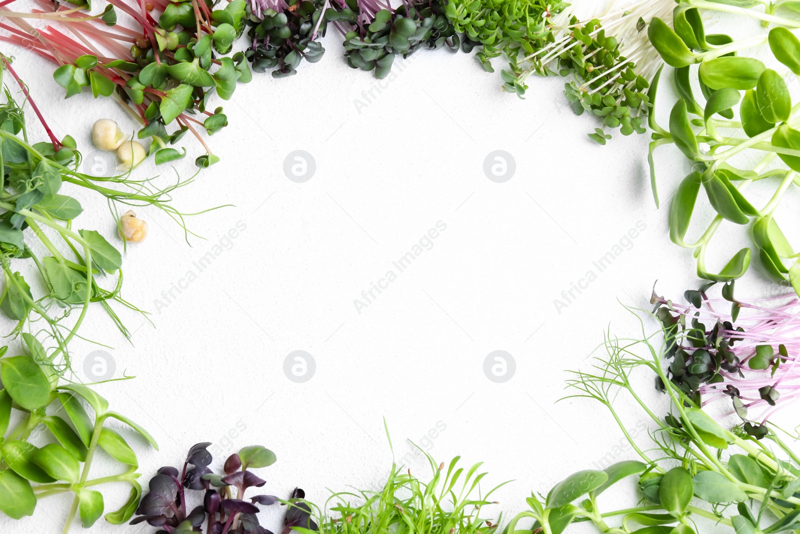 Photo of Frame made with different microgreens on white table, flat lay. Space for text