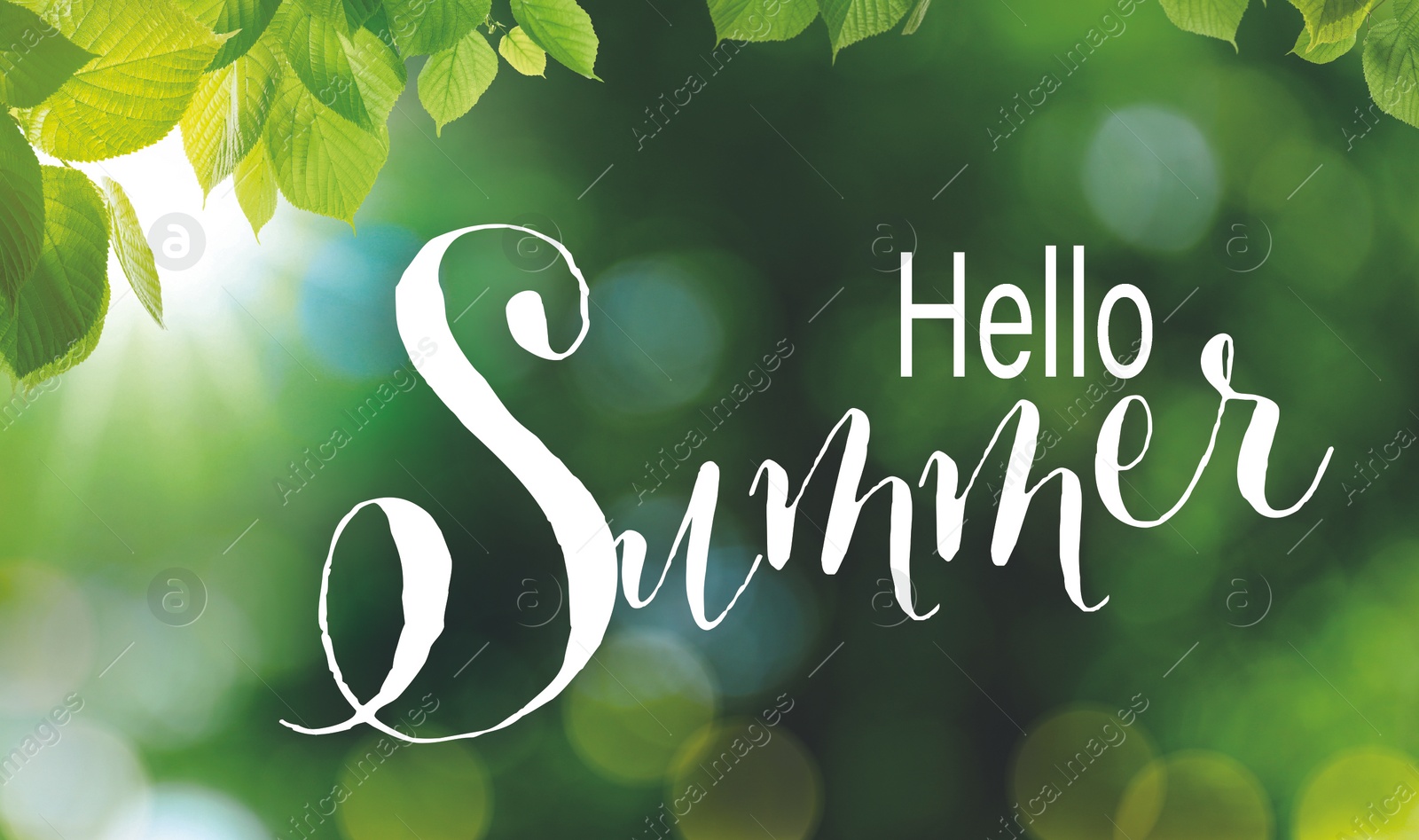 Image of Hello Summer. Beautiful green leaves on blurred background