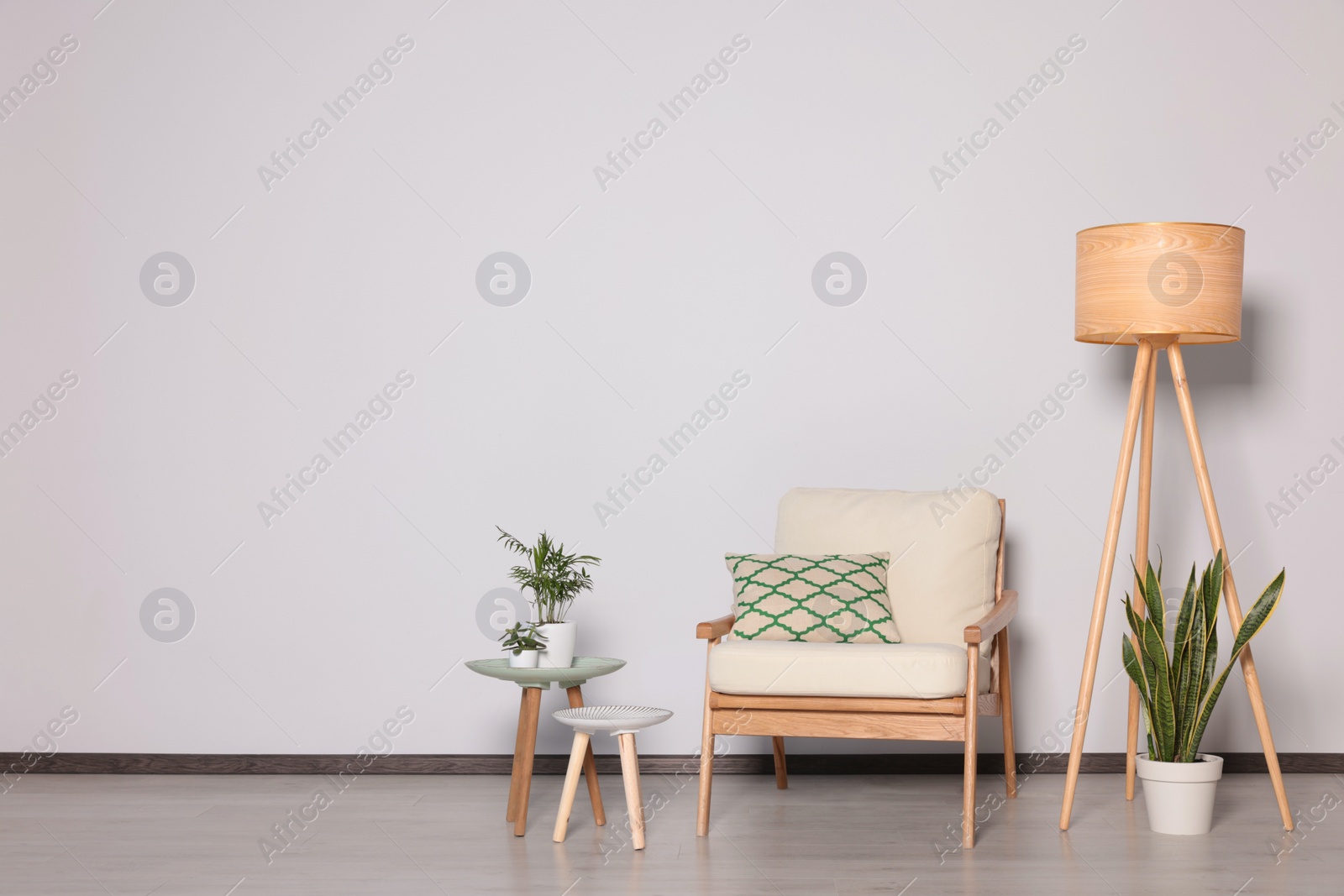 Photo of Stylish armchair, floor lamp and plants near white wall, space for text. Interior design